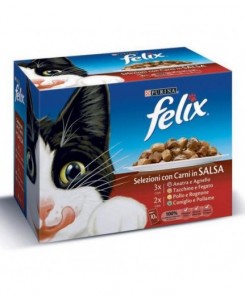 FELIX POUCHES 100GR X 10 PACK MEAT IN SAUCE