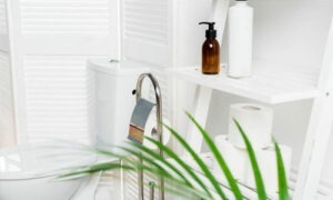 PAPER HYGIENE