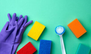 SPONGE, CLOTHS & GLOVES